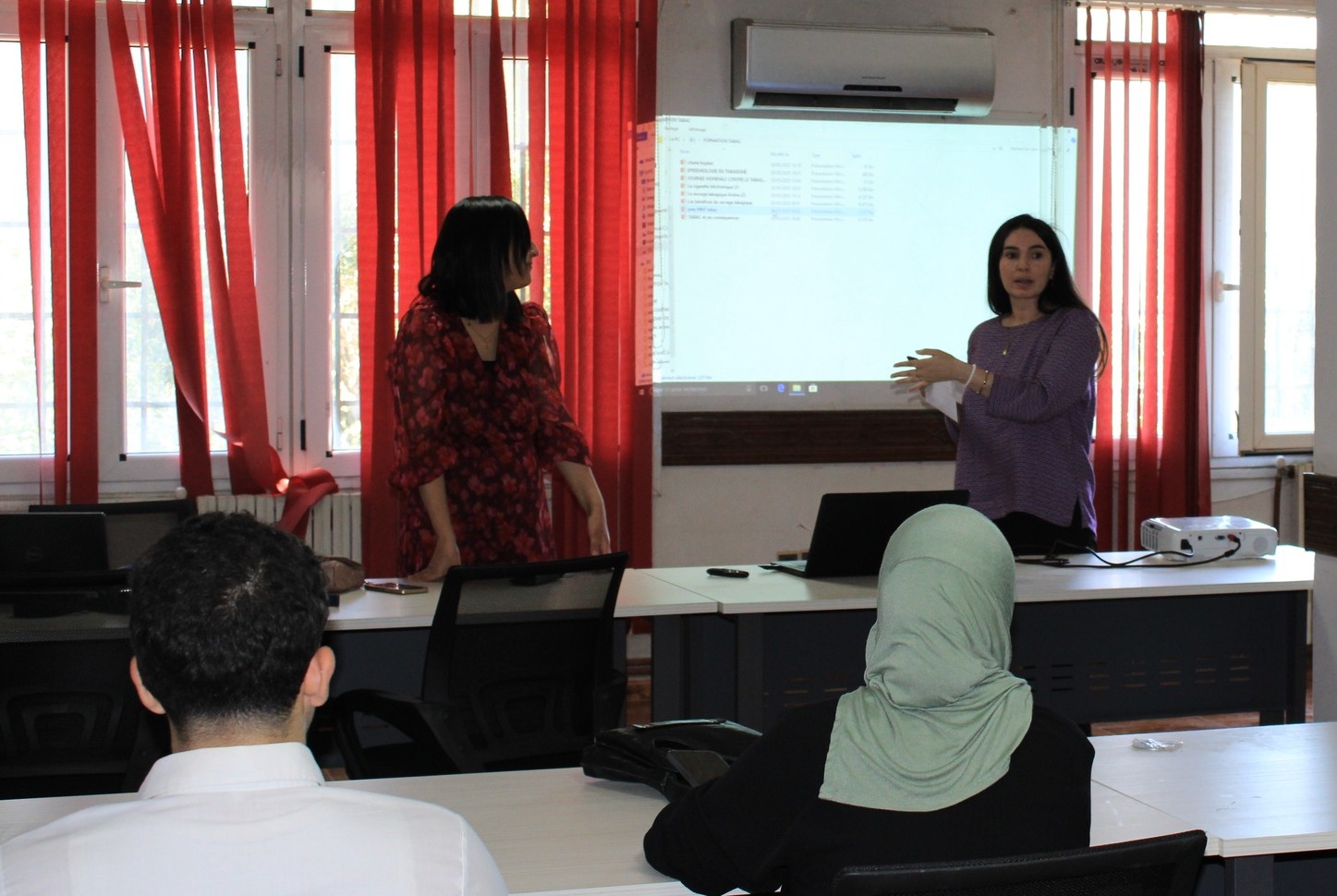 Journée formation sevrage tabagique2 INSP2025
